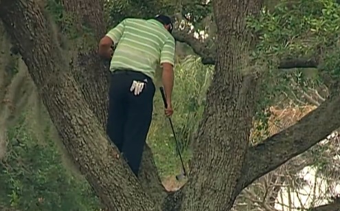 Le golfeur Sergio Garcia frappe une balle depuis un arbre ! (VIDEO)